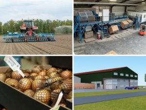 “We want to be able to supply Dutch organic onions year-round”